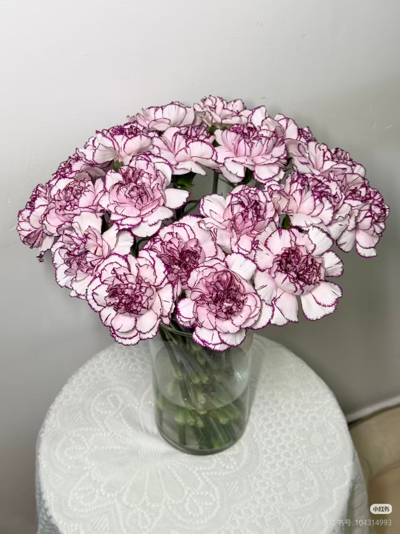 Purple Elf Carnation
