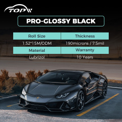 Профессиональный глянцевый черный