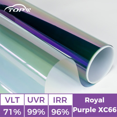 Королевский фиолетовый XC66