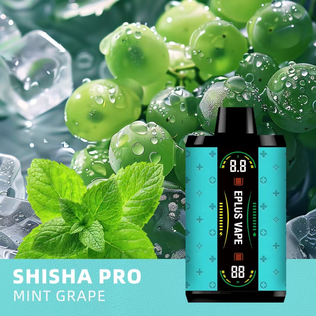 Shisha pro