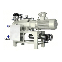 Dry screw vacuum pump
