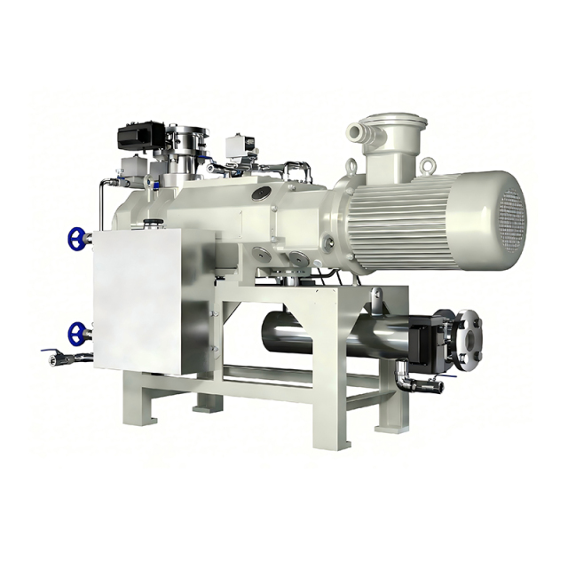Dry screw vacuum pump