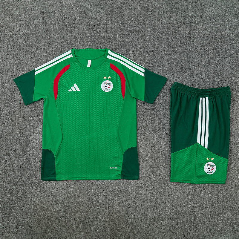 2026 27 Short Sleeve Algerian Green Soccer Training Jersey