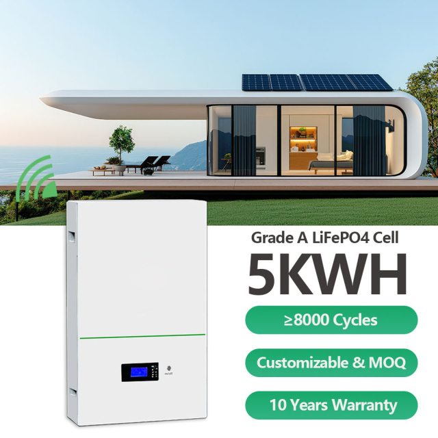 Wall Mounted ESS Battery 48V LiFePO4 Power Storage for Solar Systems