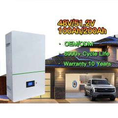 High Efficiency Lithium Power Wall 150ah 200ah 230ah 500ah Battery Pack 48v Lifepo4 Battery 100ah with BMS
