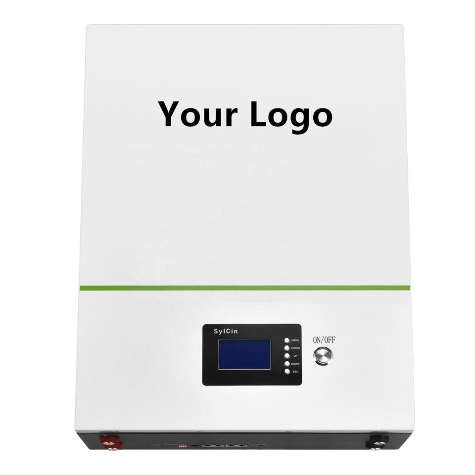 High Efficiency Lithium Power Wall 150ah 200ah 230ah 500ah Battery Pack 48v Lifepo4 Battery 100ah with BMS