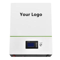 High Efficiency Lithium Power Wall 150ah 200ah 230ah 500ah Battery Pack 48v Lifepo4 Battery 100ah with BMS