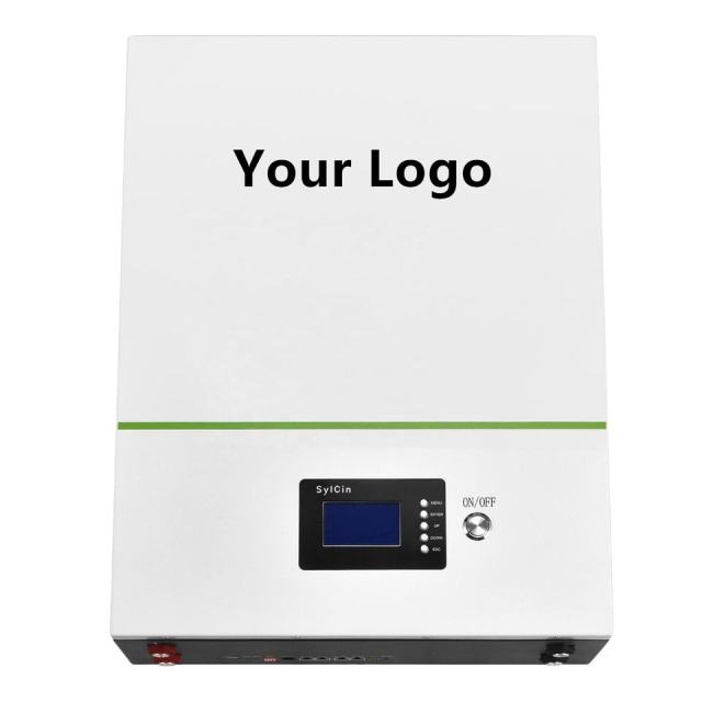 High Efficiency Lithium Power Wall 150ah 200ah 230ah 500ah Battery Pack 48v Lifepo4 Battery 100ah with BMS