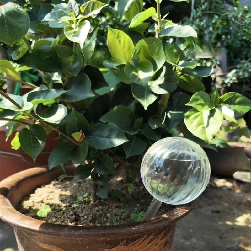 Size M PVC Shaped Watering Globe Ball Automatic Plant Watering Bulbs Self Watering Balls Water Device Drip Irrigation System for Garden Plants