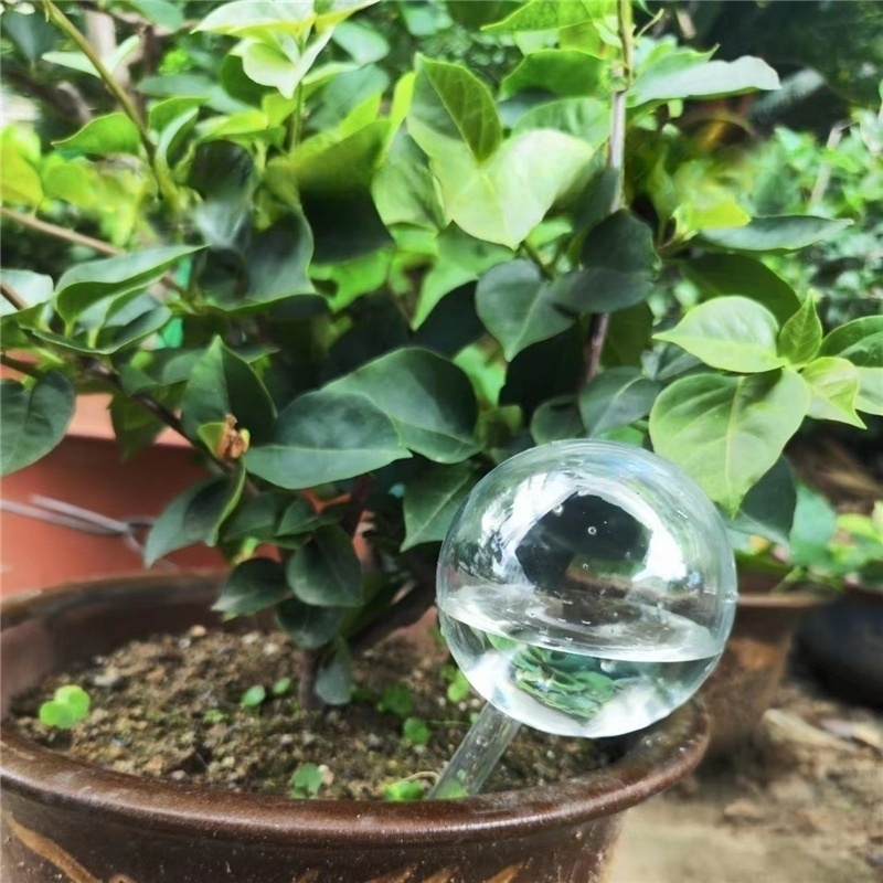 Size M PVC Shaped Watering Globe Ball Automatic Plant Watering Bulbs Self Watering Balls Water Device Drip Irrigation System for Garden Plants