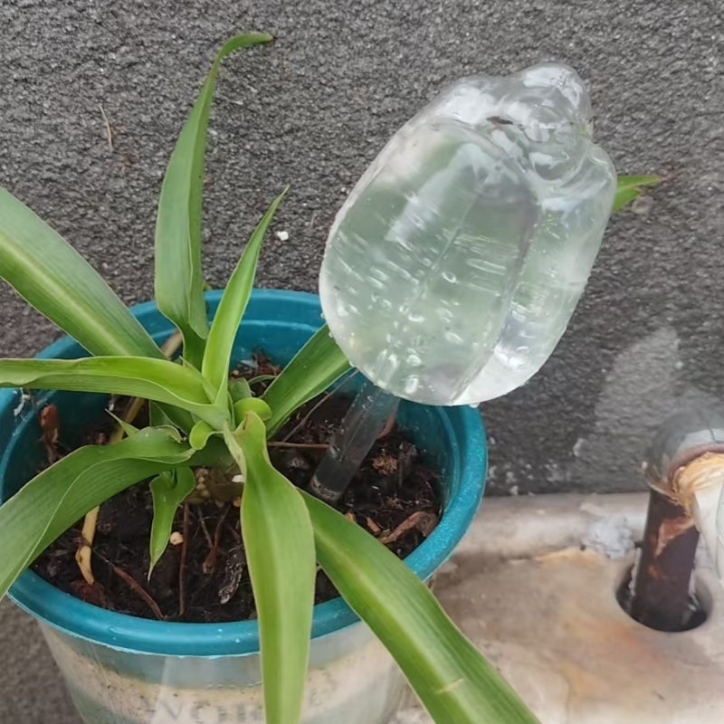 Size L PVC Tulip Shaped Watering Globe Ball Automatic Plant Watering Bulbs Self Watering Balls Water Device Drip Irrigation System for Garden Plants