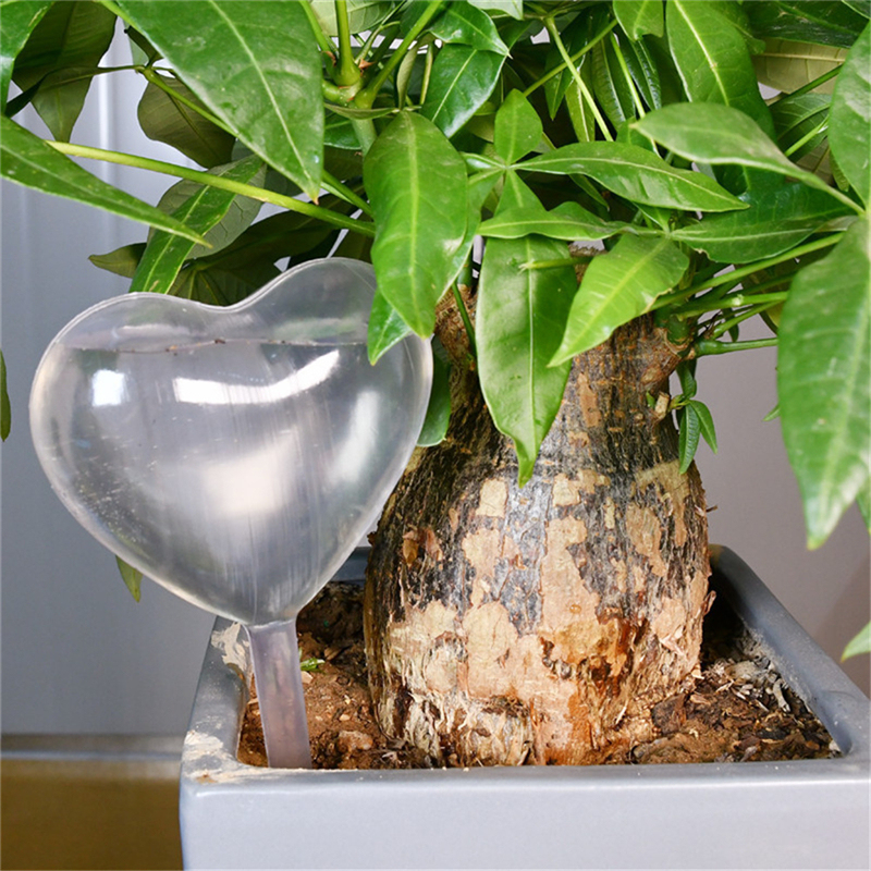 Size L PVC Heart Star Shaped Watering Globe Ball Automatic Plant Watering Bulbs Self Watering Balls Water Device Drip Irrigation System for Garden Plants