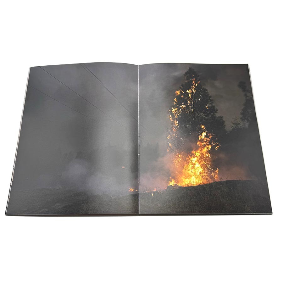 China Book Printing Factory Softcover Photo Album Books Custom Printed Perfect Binding Picture Book
