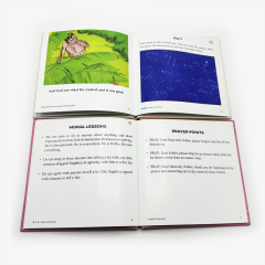 Custom Book Printing Services Kid Educational Learning Books Cheap Printed Hardcover Children Book