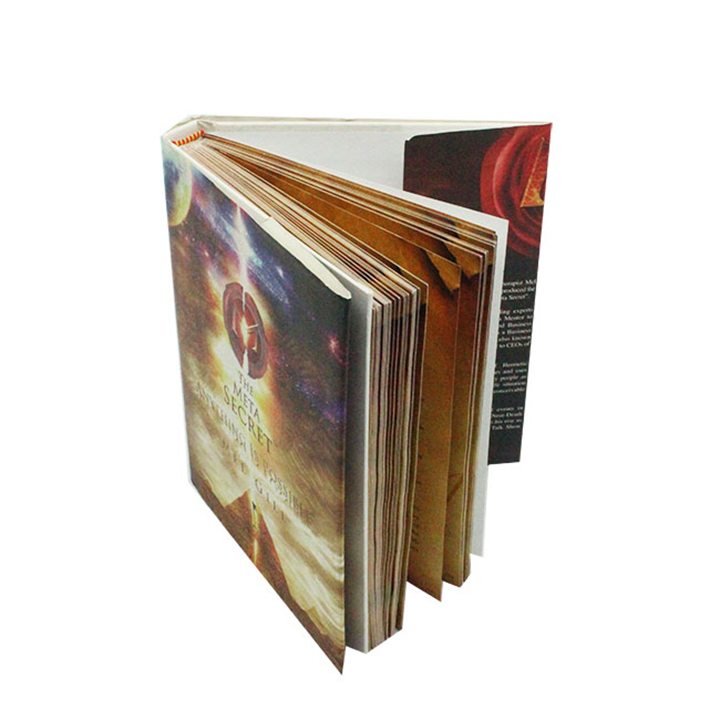 Custom Hardcover Book Printing Full Color Hardback Photo Album Book