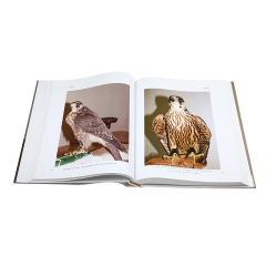 Customizable Book Printing Photo Album Books Printed Perfect Binding Hardcover Picture Books