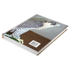 Customizable Book Printing Photo Album Books Printed Perfect Binding Hardcover Picture Books