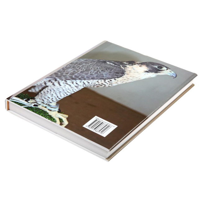 Customizable Book Printing Photo Album Books Printed Perfect Binding Hardcover Picture Books