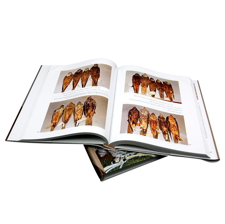 Customizable Book Printing Photo Album Books Printed Perfect Binding Hardcover Picture Books