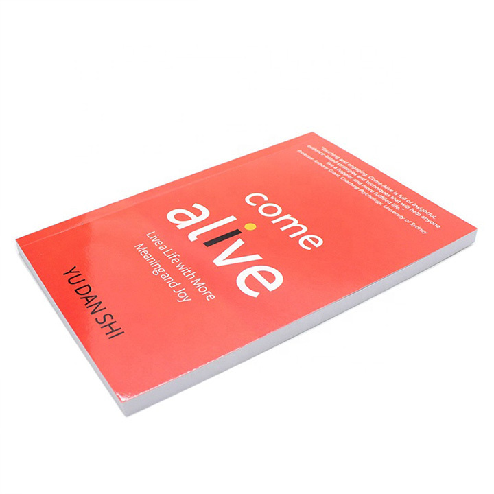 China Book Printing Services Paperback Novel Books Full Color Printed Softcover Book