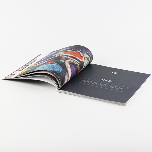 Custom Printing Brochure Booklet Full Color Paperback Business Softcover Book Printed