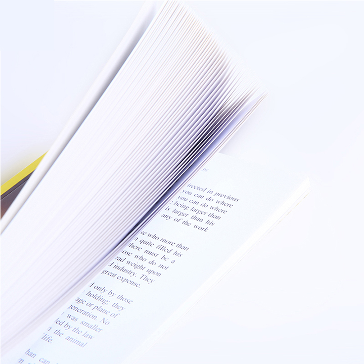 Cheap Printed Business Novel Books Custom Full Color Coat Paper Softcover Book