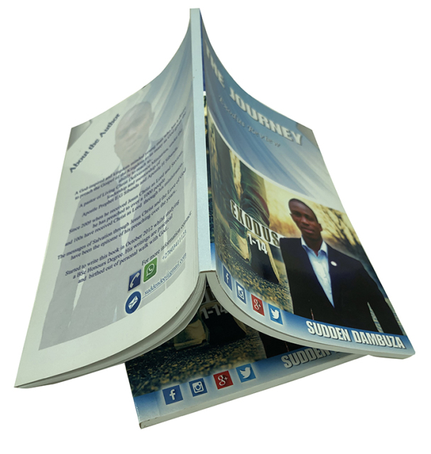 Custom High Quality Business Novel Book Printing Coloring Printed Paperback Softcover Books