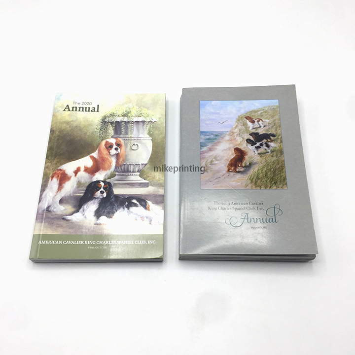 Softcover Novel Book Printing Custom Printed Full Color Silver Hot Stamping Paperback Books