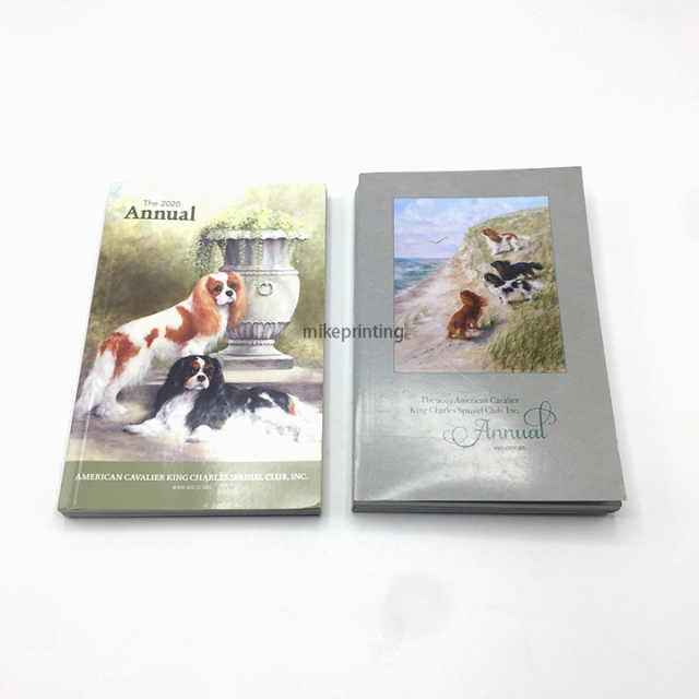 Softcover Novel Book Printing Custom Printed Full Color Silver Hot Stamping Paperback Books