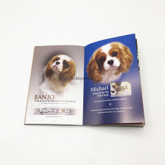 Softcover Novel Book Printing Custom Printed Full Color Silver Hot Stamping Paperback Books
