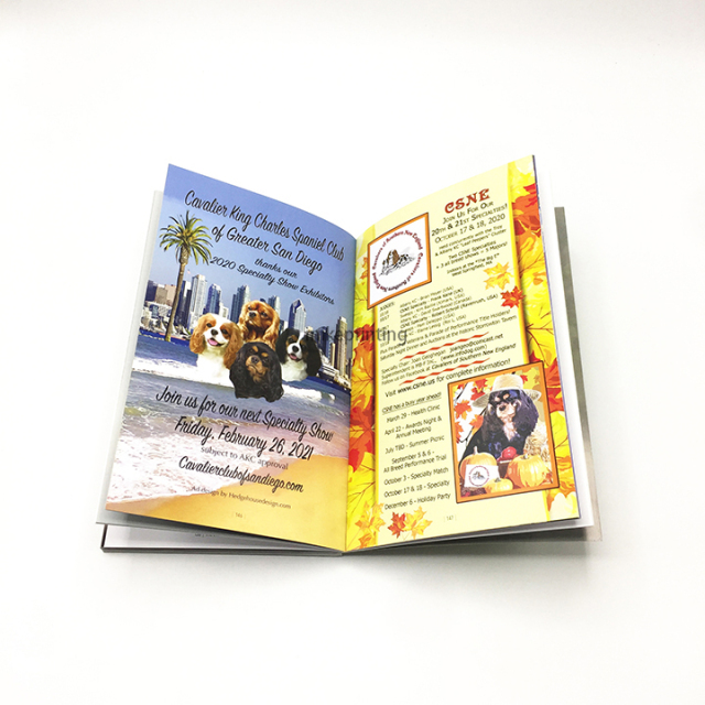 Softcover Novel Book Printing Custom Printed Full Color Silver Hot Stamping Paperback Books