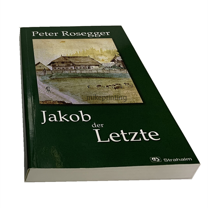 Softcover Novel Books Printing Custom Perfect Binding Business Paperback Book