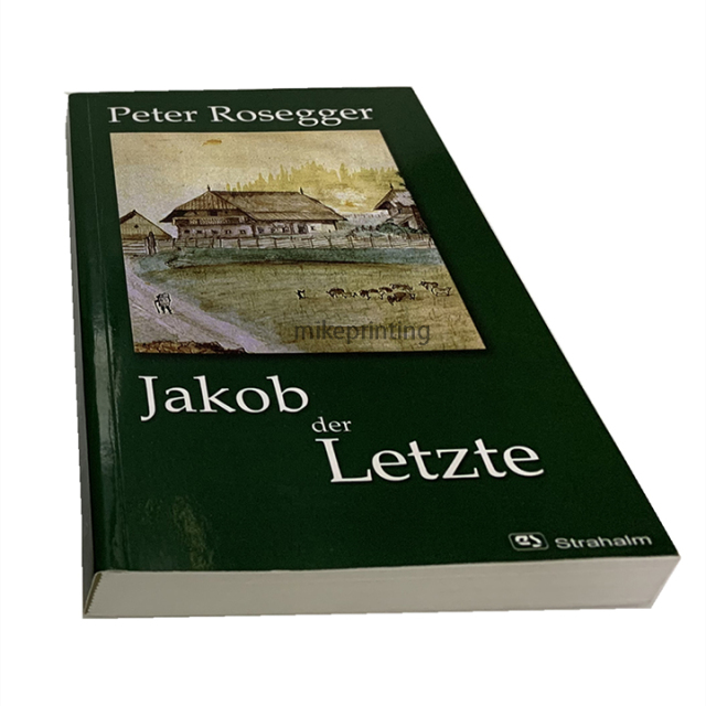 Softcover Novel Books Printing Custom Perfect Binding Business Paperback Book
