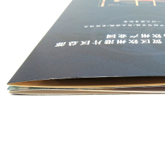 Custom Folding Leaflet & Flyer Printing