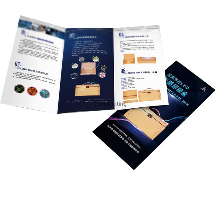 Folding Business Flyer Leaflet Custom Printing