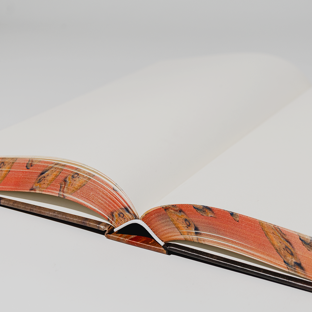 Precious Gold Sprayed Edge Hardcover Book Color Printing Hardcover Novel Book Custom Printing