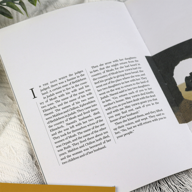 Custom Publishing Offset Printing Booklet Folded Flyer Magazine Brochures Catalogue Print