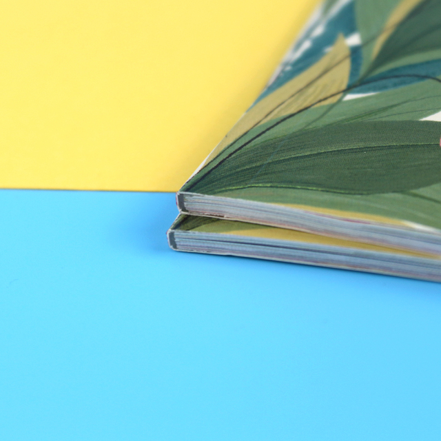 Service d'impression de livres pour enfants en anglais, couverture souple et couleurs complètes