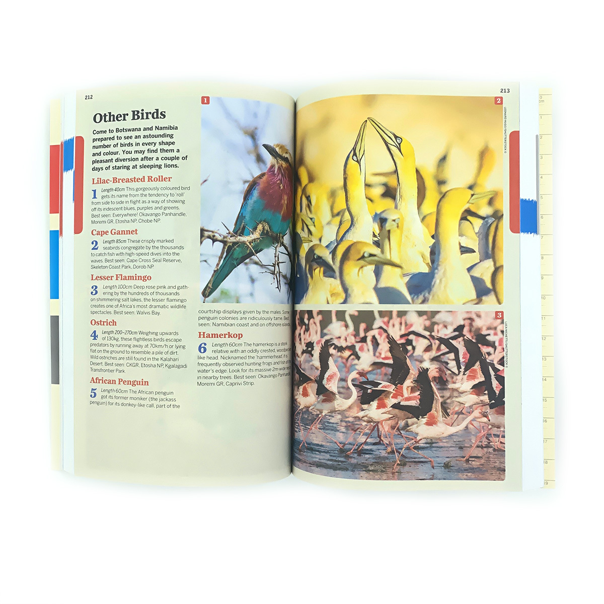 Custom Coloring Cheap Book Printing Service Recyclable Botswana&Namibia Travel Guide Supplier Paperback Book Printing Soft Cover