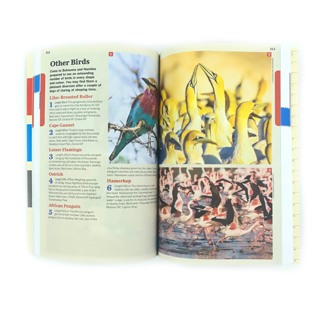 Custom Coloring Cheap Book Printing Service Recyclable Botswana&Namibia Travel Guide Supplier Paperback Book Printing Soft Cover