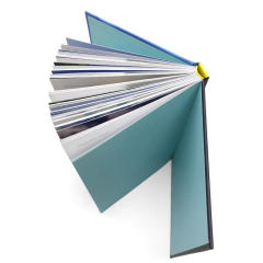 Romans personnalisés, livres à couverture rigide, impression offset, reliure cousue, étui cartonné, pelliculage mat pour livres personnalisés