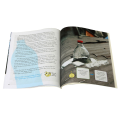 Custom Printing Storybook Printing Paperback Children Book Printing