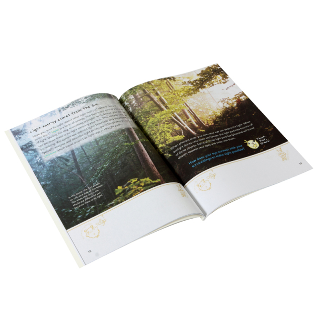 Custom Printing Storybook Printing Paperback Children Book Printing