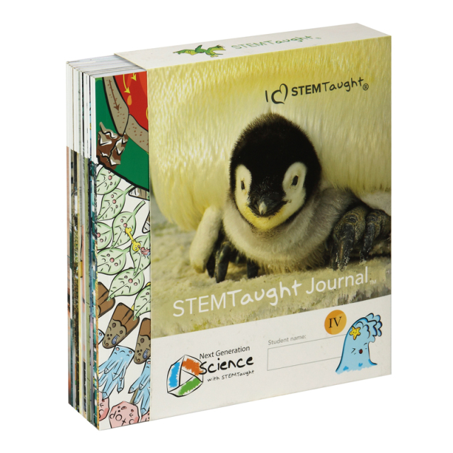 Custom Printing Storybook Printing Paperback Children Book Printing