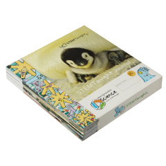 Custom Printing Storybook Printing Paperback Children Book Printing