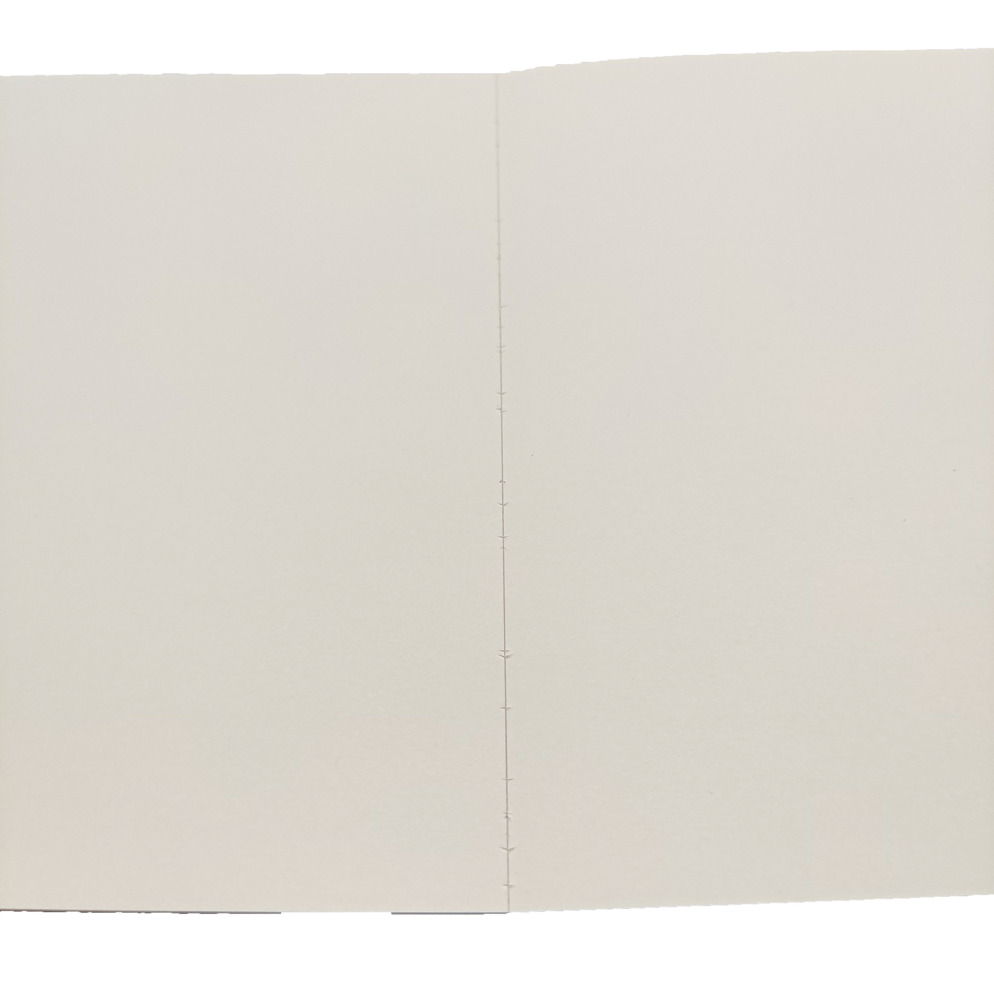 Carnet de voyage, feuilles mobiles, carnet vierge, impression de cahiers