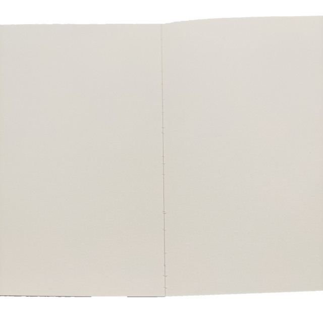 Carnet de voyage, feuilles mobiles, carnet vierge, impression de cahiers