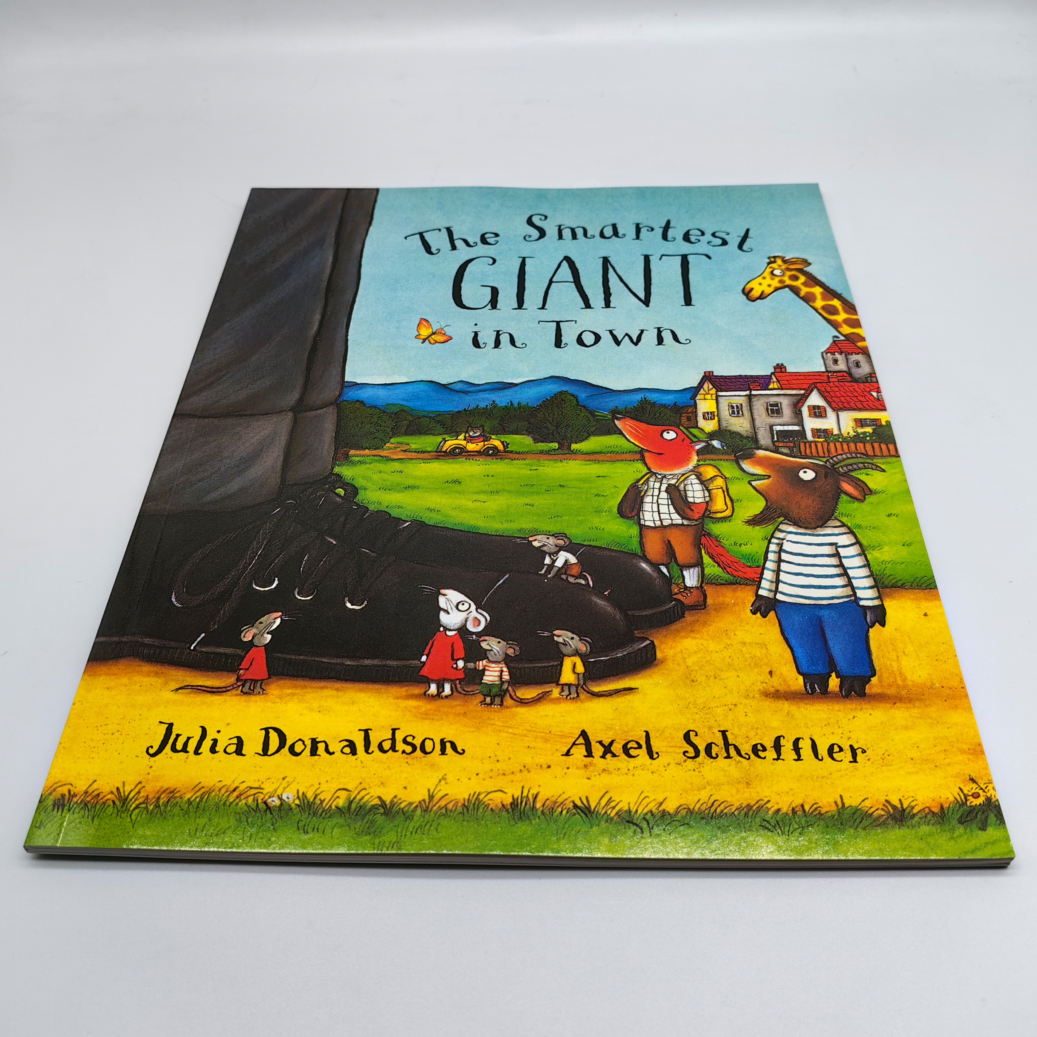 Custom Full Color A4 Size Children's Educational Story Books Large Size Paperback With Custom Printing Made From Quality Paper