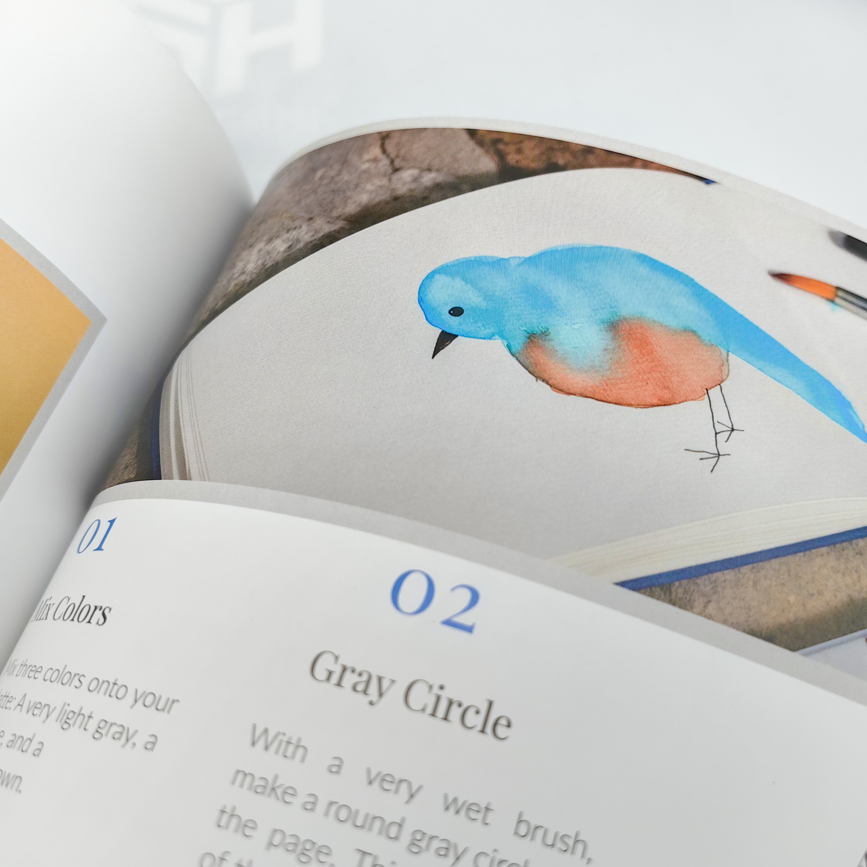 Service d'impression de livres personnalisés pour livres brochés et magazines couleur