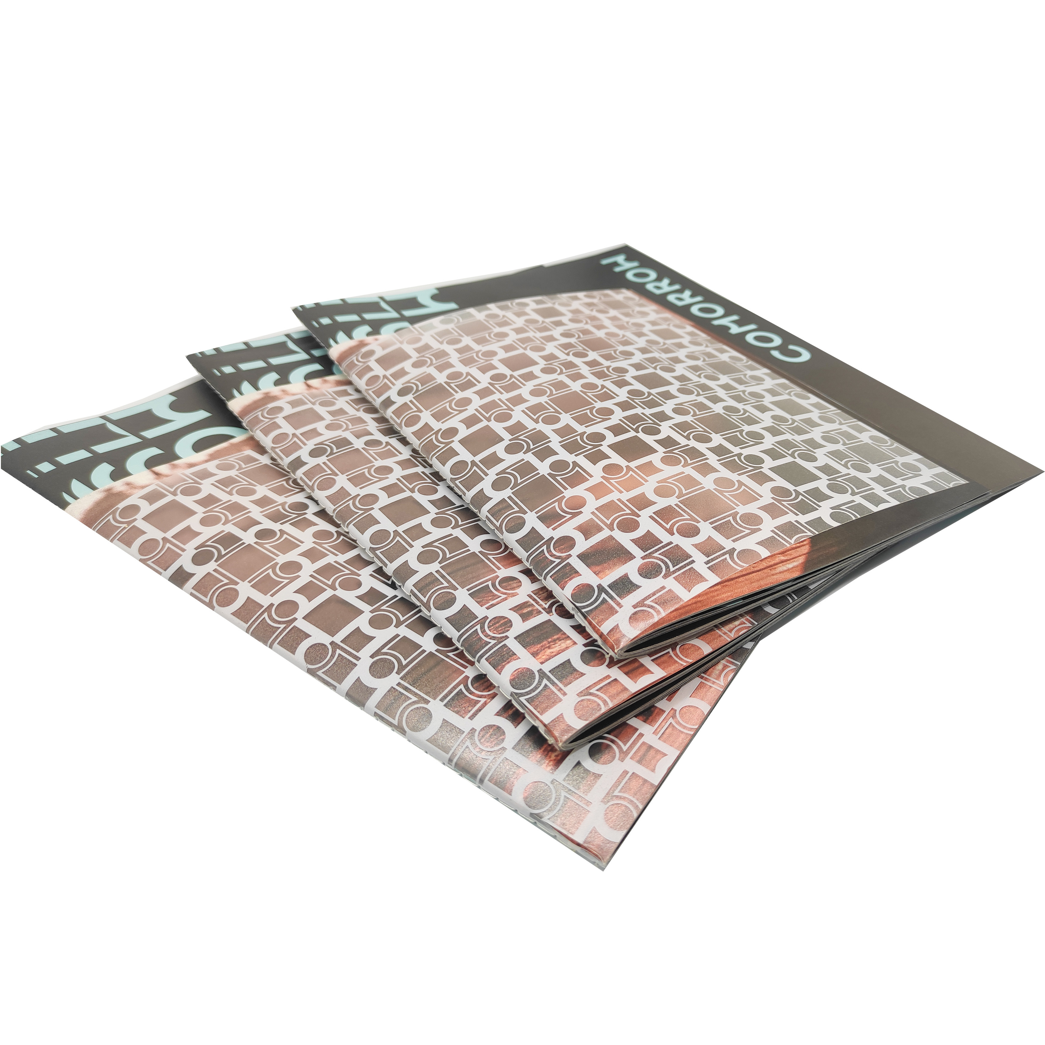 Customized Printed Plastic Booklet Saddle Binding Promotional Brochure Offset and Digital Printing on Cardboard Offset Paper
